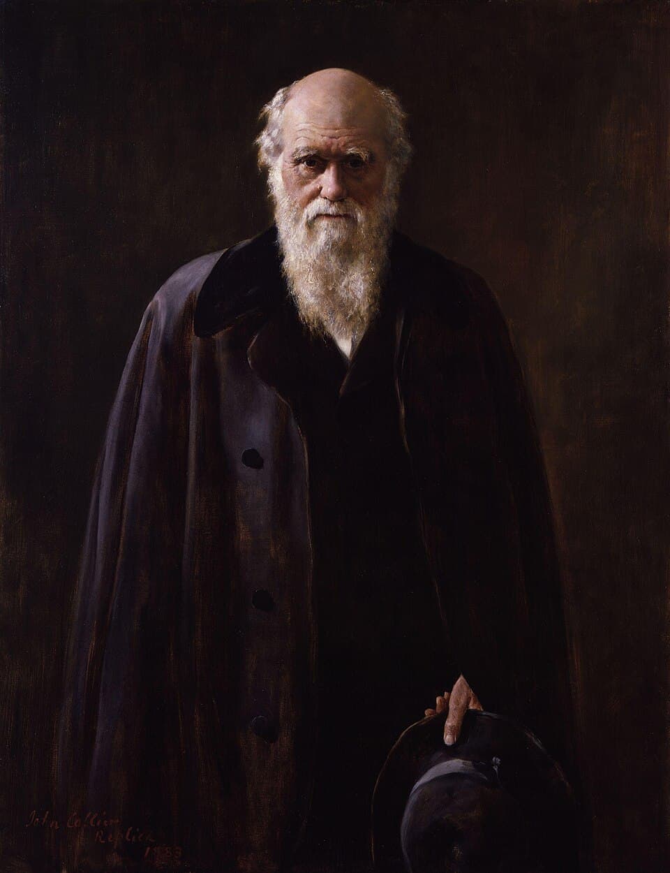 Portrait of Charles Darwin, an older man with a long white beard, in a dark coat.
